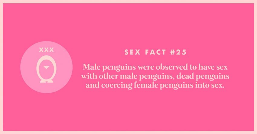 30-sex-facts-25