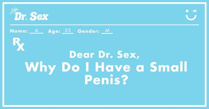 Dr.Sex