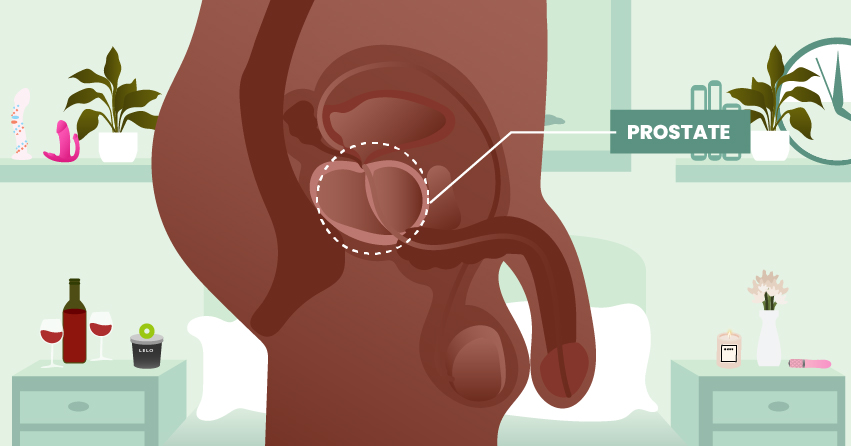 Prostate Play 101: How to Massage Your Prostate Gland