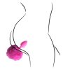 Bunny Tail Anal Plug