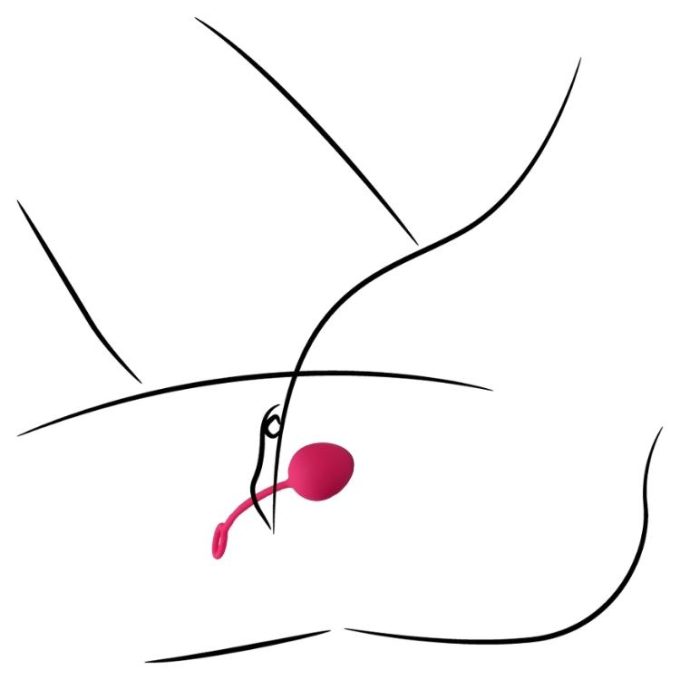 SVAKOM Nova Kegel Exercise Ball Set