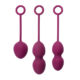 SVAKOM Nova Kegel Exercise Ball Set