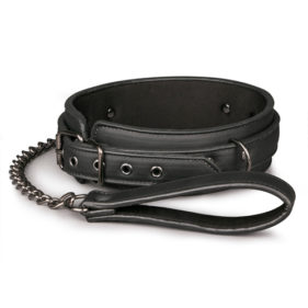 Angel Collar with Leash