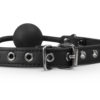Roxanne Ball Gag