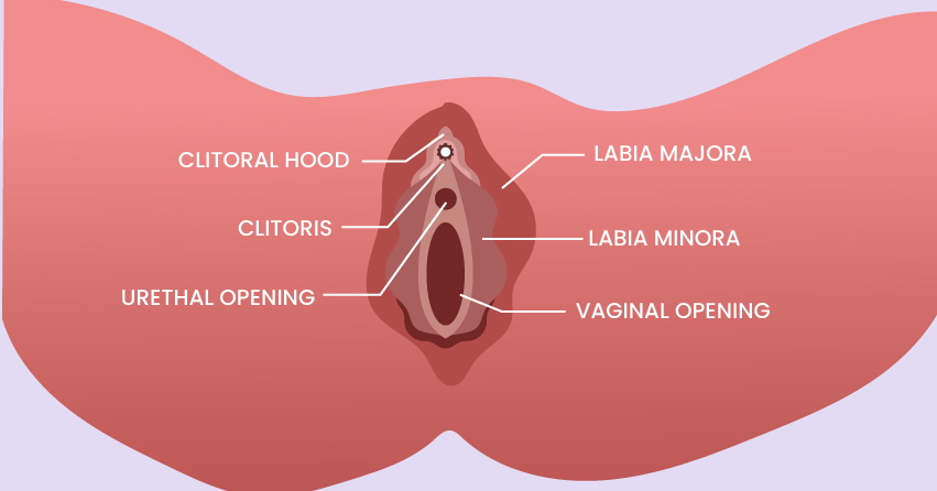 How to Squirt: Female Ejaculation Techniques & Tips (Indulge in Self-love!)