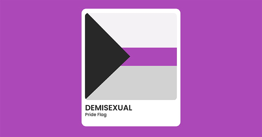 Demisexual Pride Flag