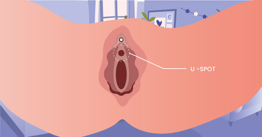 location of u-spot