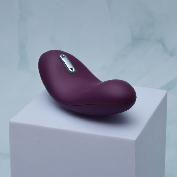 SVAKOM Echo Panty Vibrator