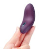 SVAKOM Echo Vibrator
