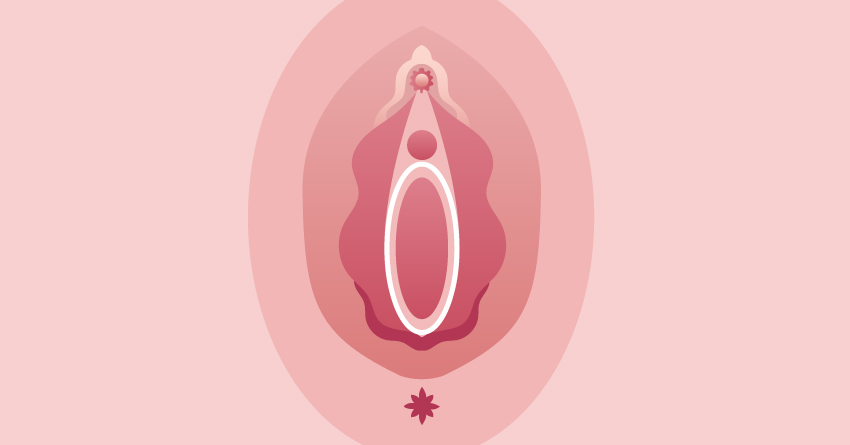 Vaginal opening