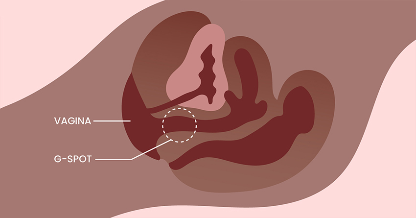 Female Masturbation Techniques