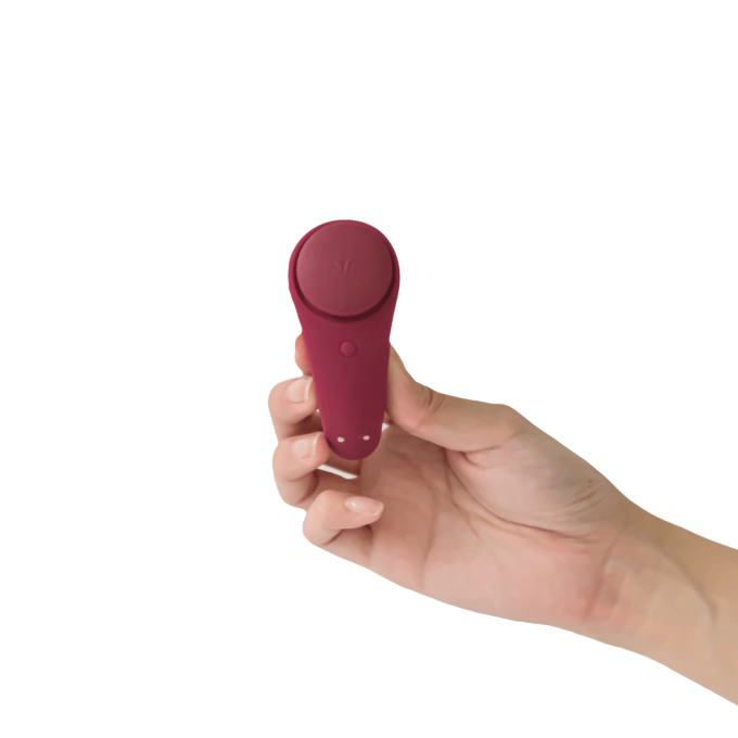 Satisfyer Sexy Secret Panty Vibrator