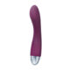 SVAKOM Amy Intelligent Vibrator