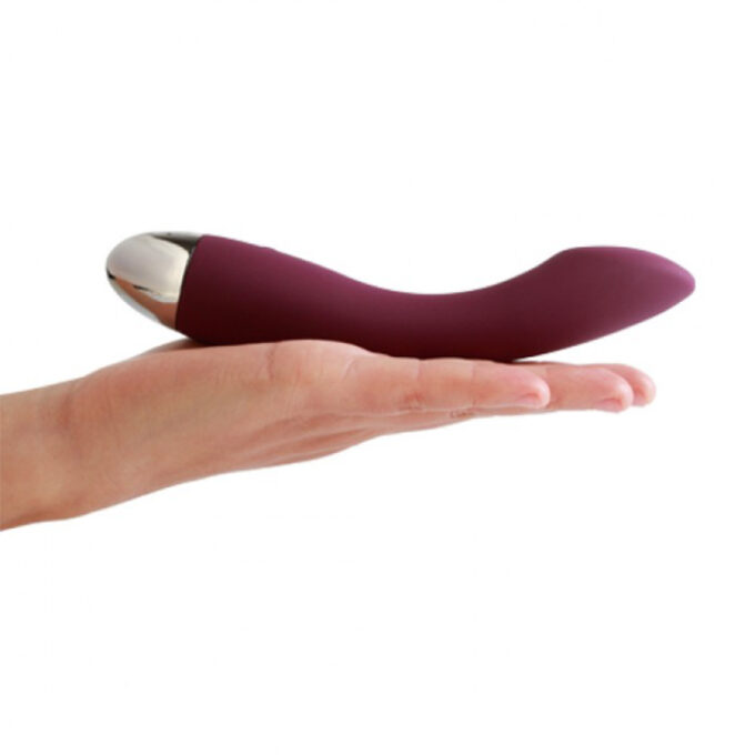 SVAKOM Amy Intelligent Vibrator