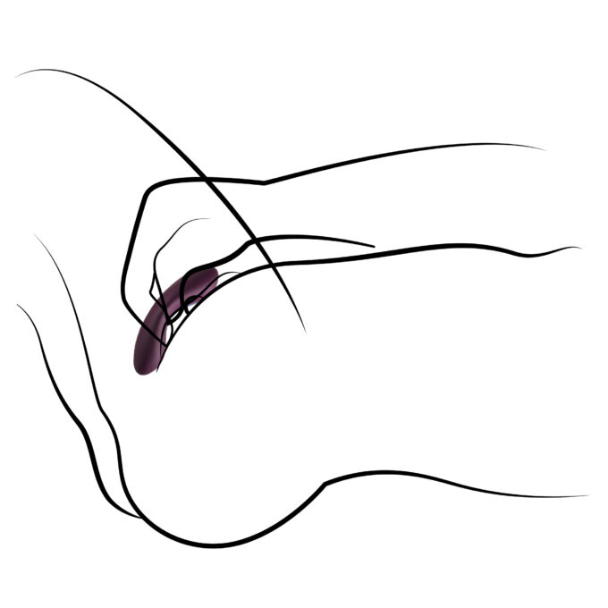 SVAKOM Echo Panty Vibrator