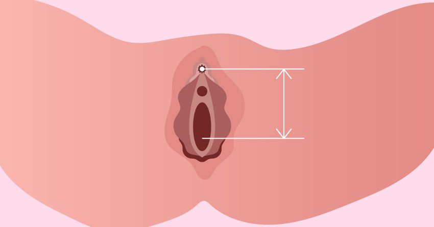 The distance between your clit and vagina can be the cause of your intercourse woes.