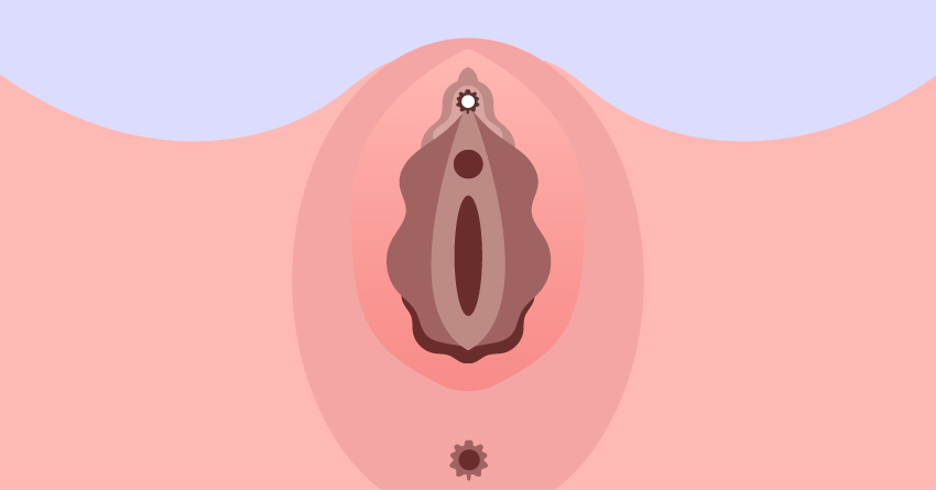 Labia Majora & Minora