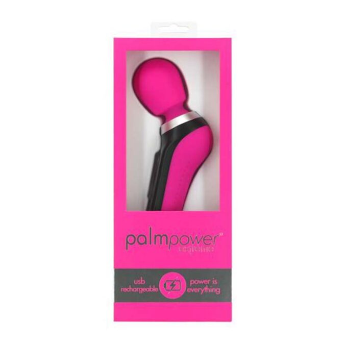 PalmPower Extreme Massager