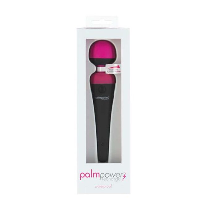 PalmPower Recharge Massager