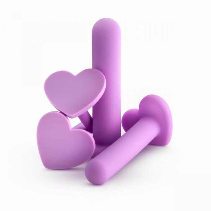 Wellness Vaginal Dilator Kit - Purple