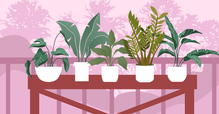 A table filled with a bunch of plants. 
