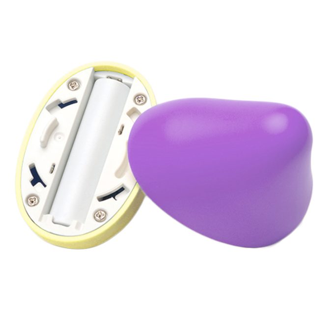 Iroha Mini Vibrator