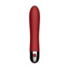 Magical Duet Vibrator