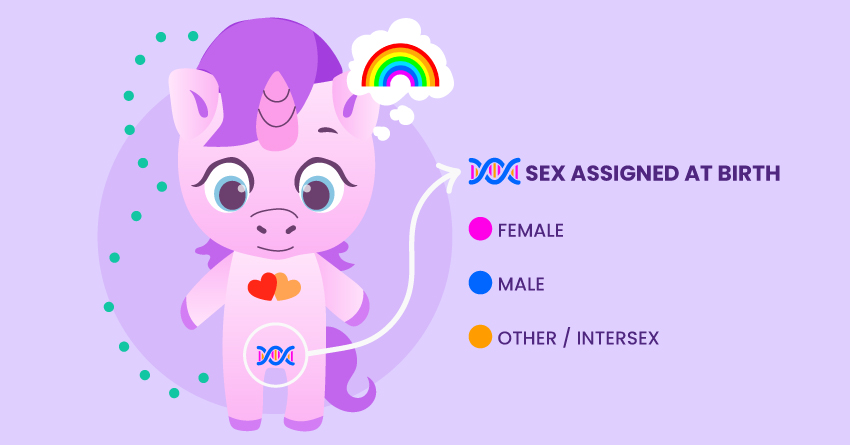 The Gender Unicorn & Elements of SOGIE