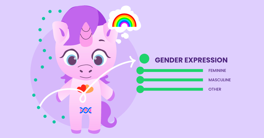 The Gender Unicorn & Elements of SOGIE