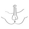 Boners Supporting Penis Sleeve