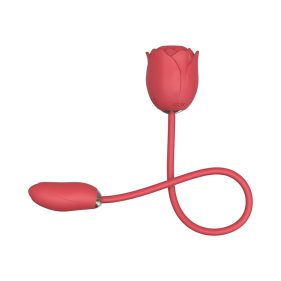 Rosy Rue Clit-Sucker & Egg Vibrator