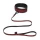 Fifty Shades Of Grey Sweet Anticipation Collar & Leash