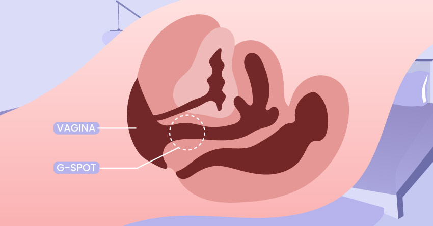 location of g-spot