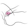 Satisfyer Love Riot