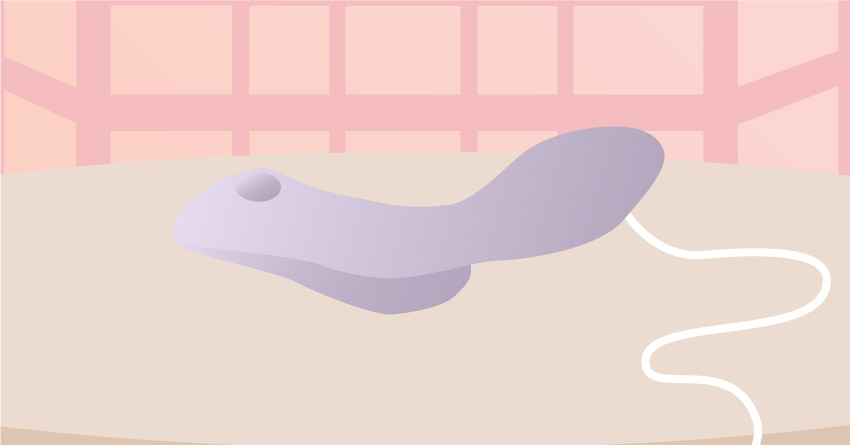 How to Use a Clitoral Vibrator (Happy Clit, Happy You!)