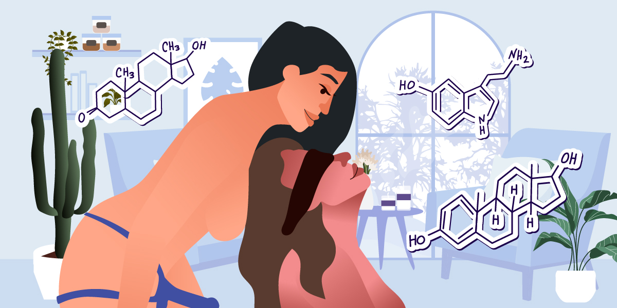 The Steamy Chemistry Behind the Hormones Released During Sex