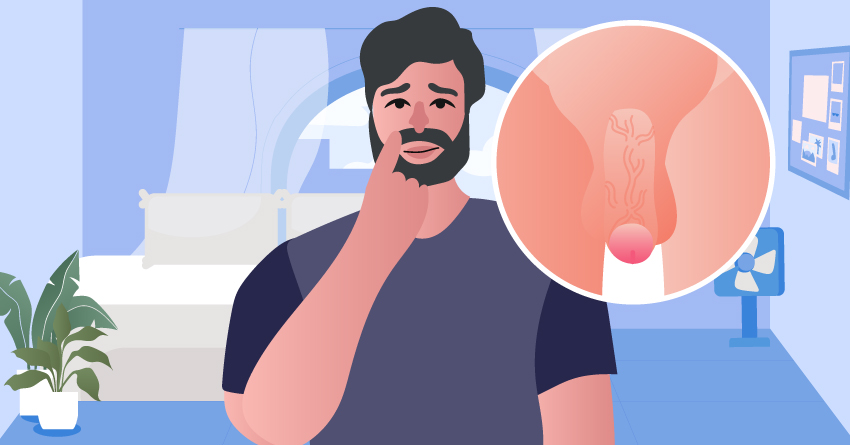When Does the Penis Stop Growing?