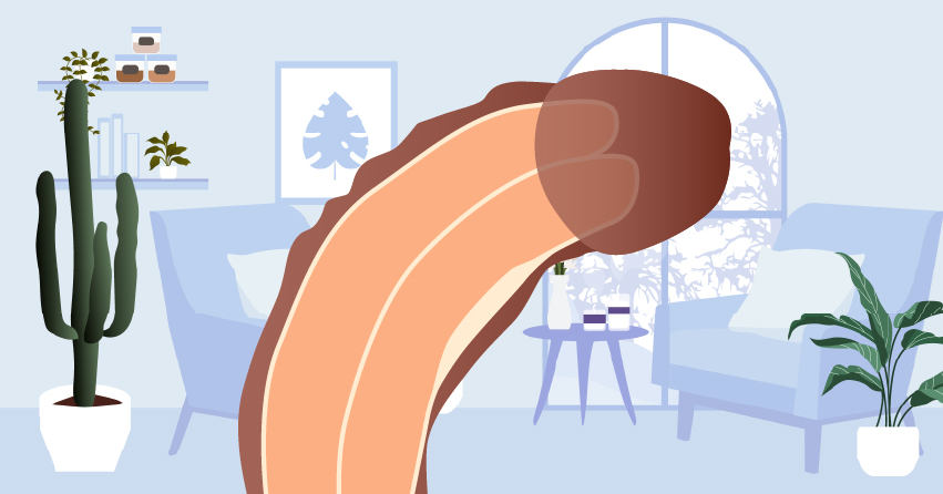 Penis Health 101: Common Conditions & Care Tips