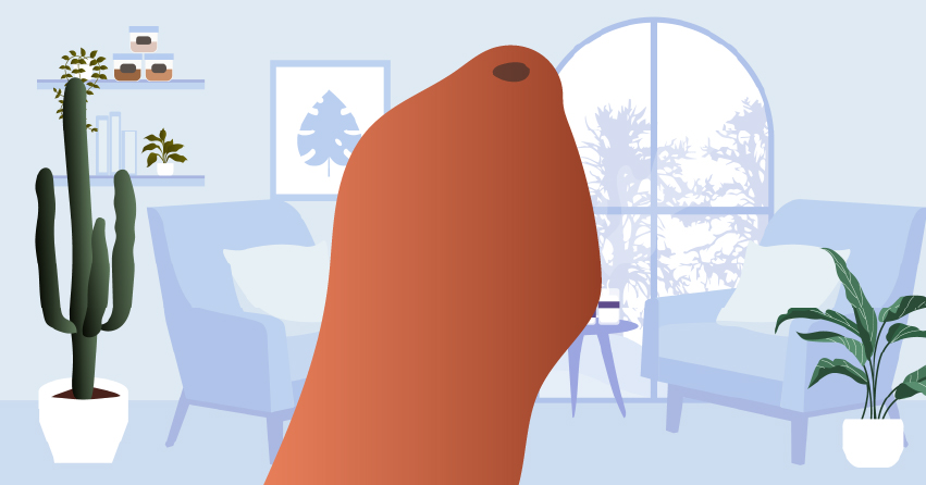 Penis Health 101: Common Conditions & Care Tips