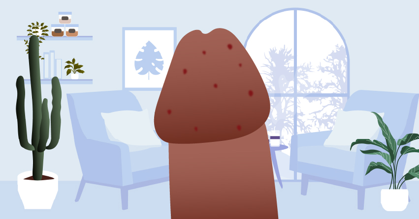 Penis Health 101: Common Conditions & Care Tips