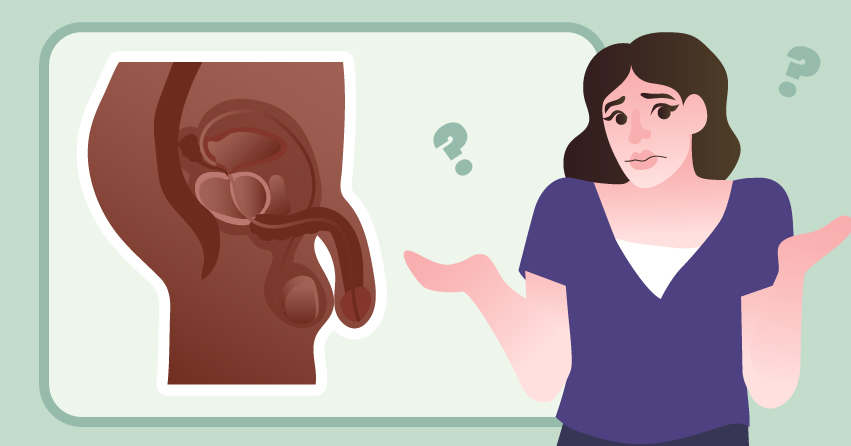 What is Sex? Let's Get In-Depth With It