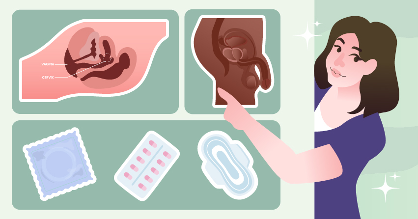 What is Sex? Let's Get In-Depth With It
