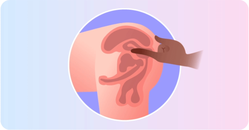 Prostate Gland: What to Know About the "Male G-Spot"