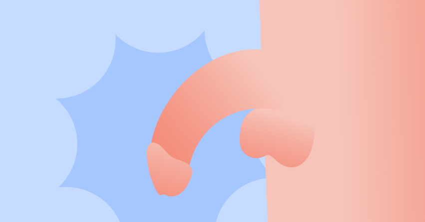 22 Diverse Types of Penis Out There