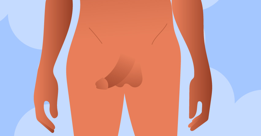 22 Diverse Types of Penis Out There