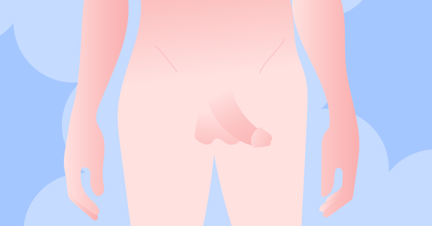 22 Diverse Types of Penis Out There
