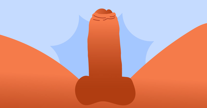 22 Diverse Types of Penis Out There