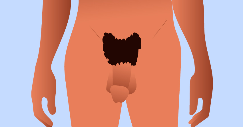 22 Diverse Types of Penis Out There