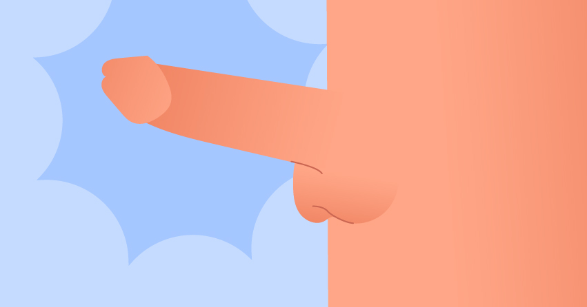 22 Diverse Types of Penis Out There