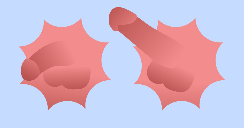 22 Diverse Types of Penis Out There